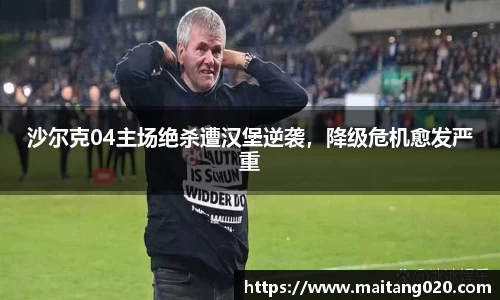 沙尔克04主场绝杀遭汉堡逆袭，降级危机愈发严重