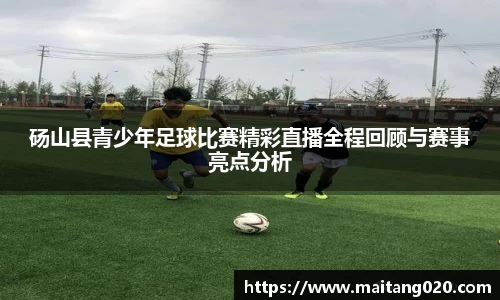 砀山县青少年足球比赛精彩直播全程回顾与赛事亮点分析