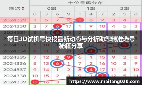 每日3D试机号快报最新动态与分析助您精准选号秘籍分享